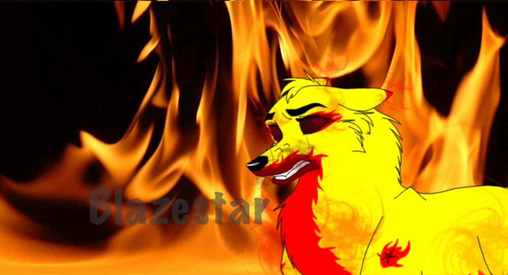 Don't Mess with Blazey :O
