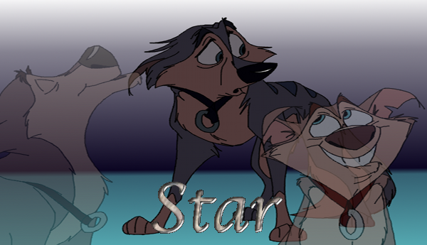 Star Siggy~