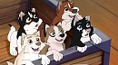 Adoptables #1