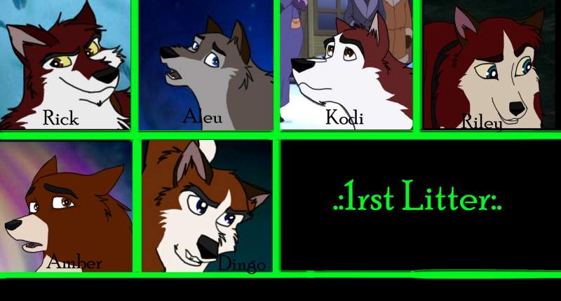 My version of Balto and Jenna's 1rst litter