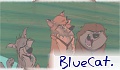 BlueCat.