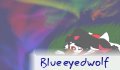 blueeyedwolf