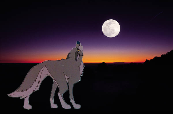 Spirit of the wolf