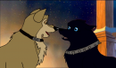 Hige And Blue