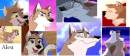 Aleu