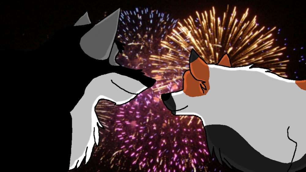 Eli and Calico watching fireworks!