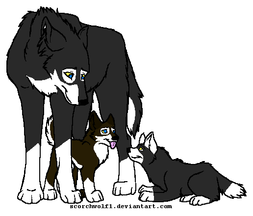 Moon,Robin and Jessy 