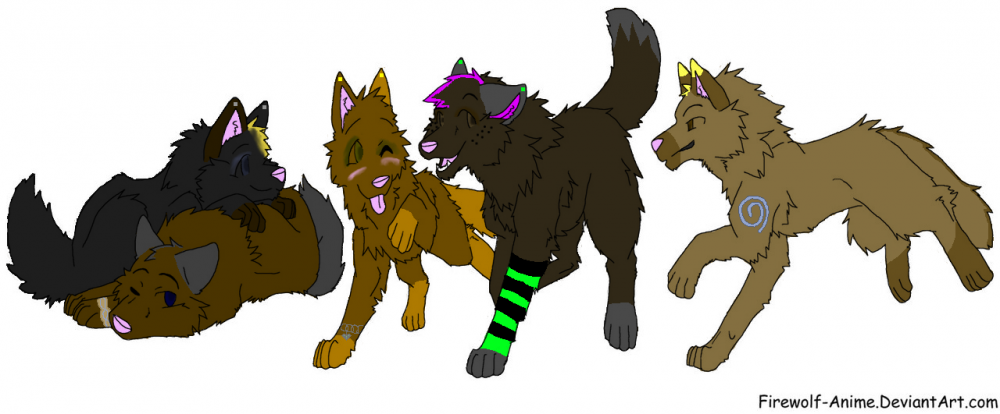 The Gang 
