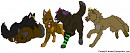 The Gang 