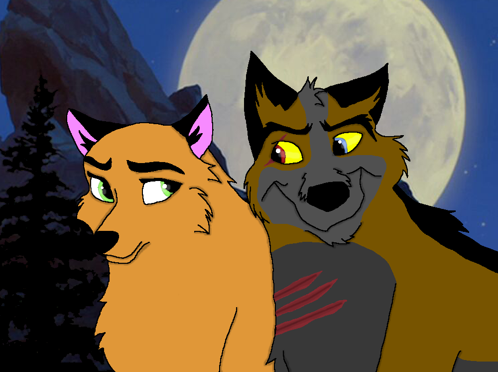 Shadow Picking up Ida