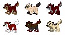 ADOPTABLES!!! 