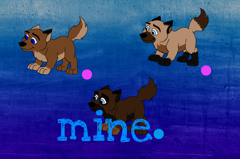 Kregar and Isis pup (my 3)