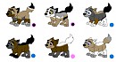 PUPPIESS!!!