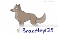 Brantley123