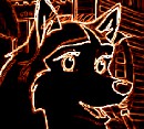 Orange Neon Jenna Avatar