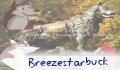 breezestarbuck