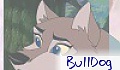 BullDog