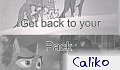 Caliko