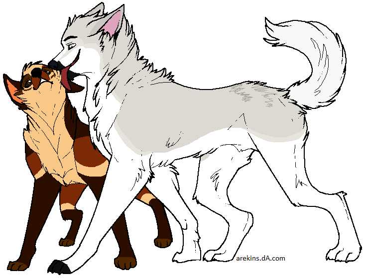 Calli and Dusty
