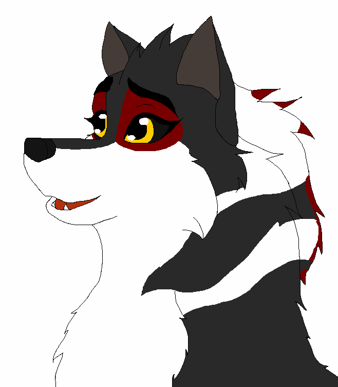 Saske Italian Wolf Gifty - Saske!