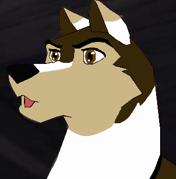 Gifty for Jeod The Wolf