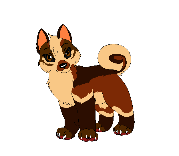 Calliope pup