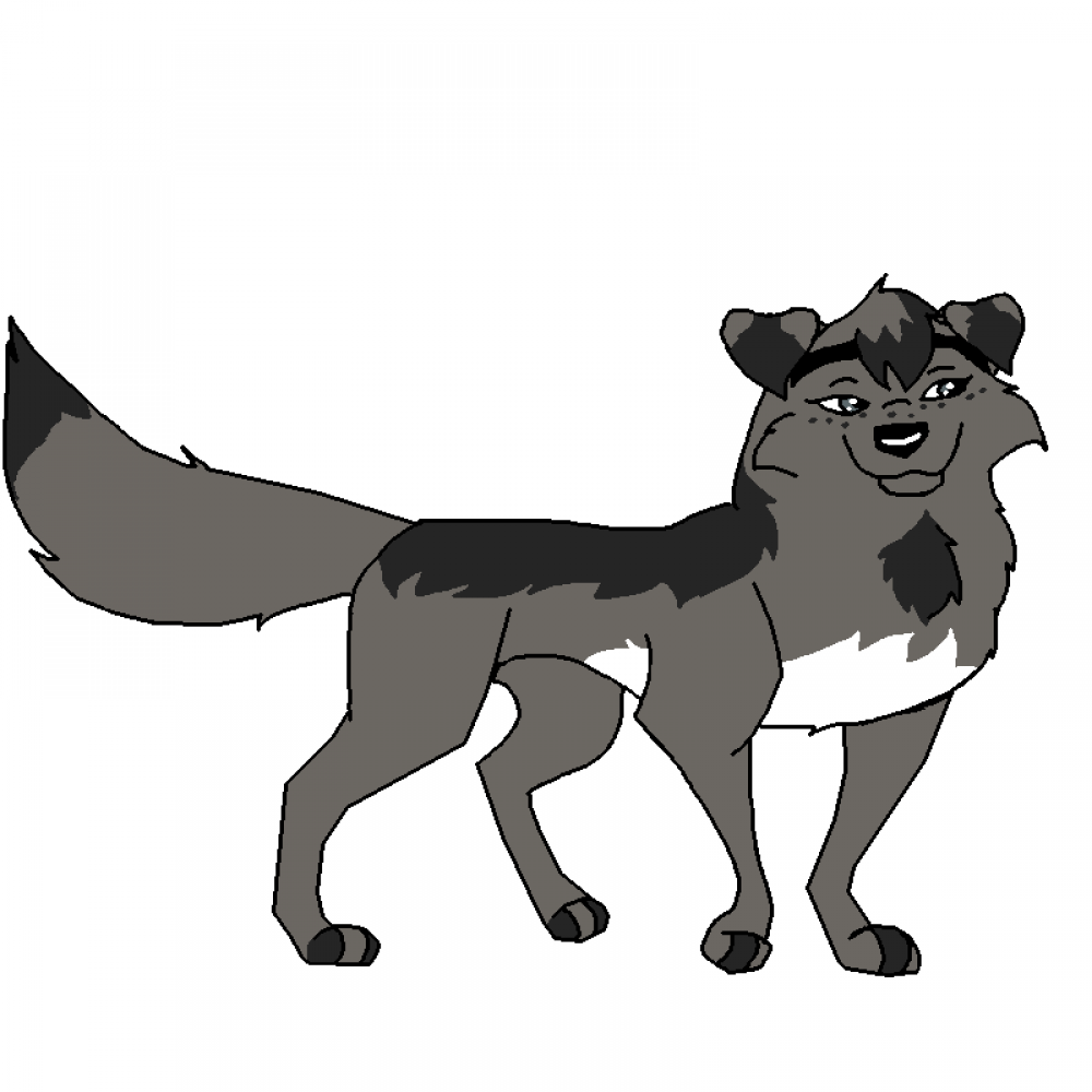 AT with xWolfPrincex - Wolf