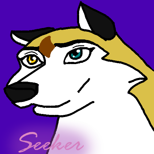 Contest Prize For Silves Somes - Seeker Avatar