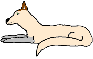 Malwolsky's Contest