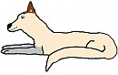Malwolsky's Contest