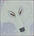 The White Wolf