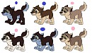 AleuXNiju puppies