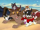 Balto and his grandpups