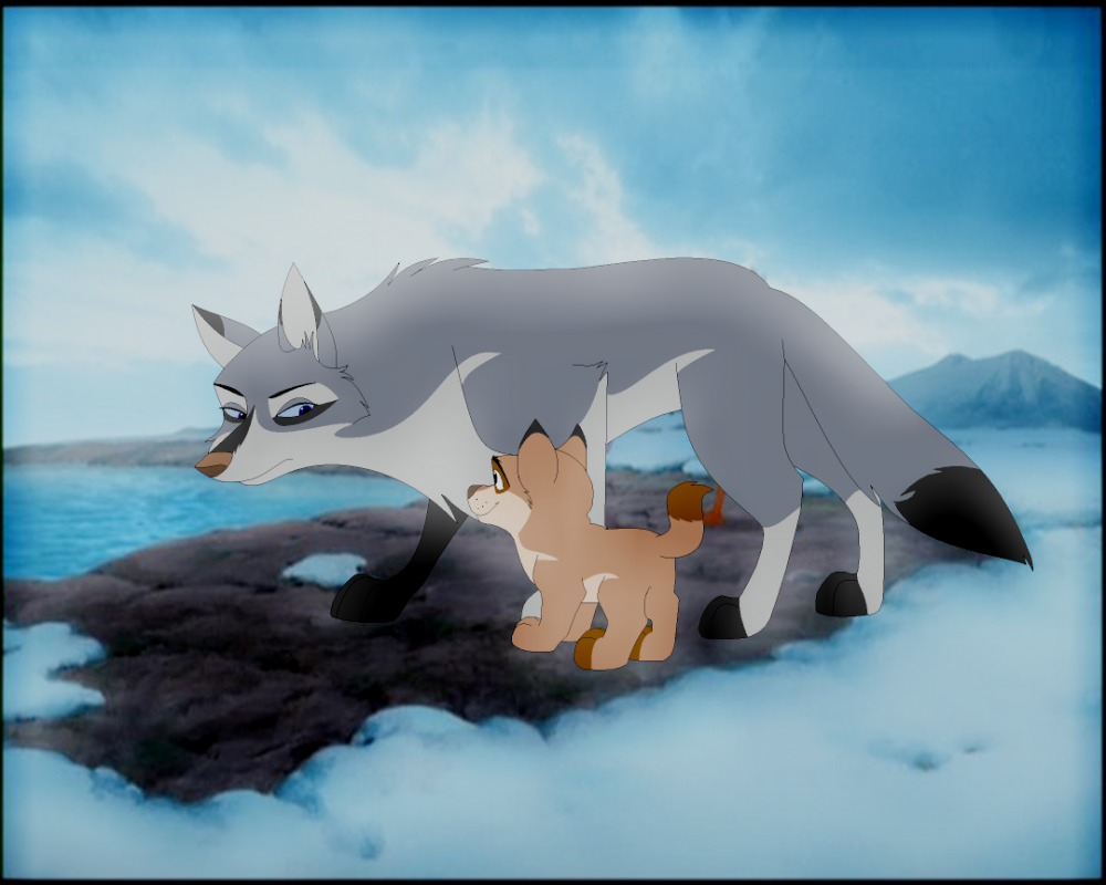Kayiya and Hokee comparison