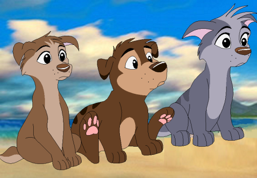 The Nik family