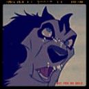 Derp Steele avatar