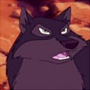 Dark brown wolf avatar