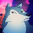 Grey wolf avatar