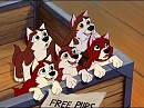 My version of Balto's pups