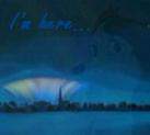 I'm here...