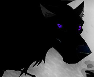 Wyvern for Spirit the Cat