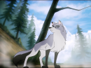 Give Kita some love