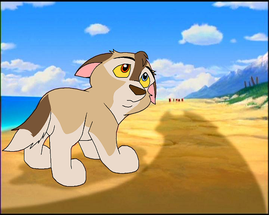 Balto + Anna's fan child