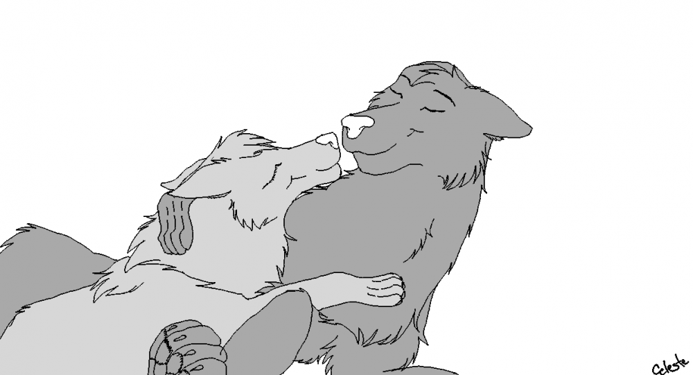 Couple Blank