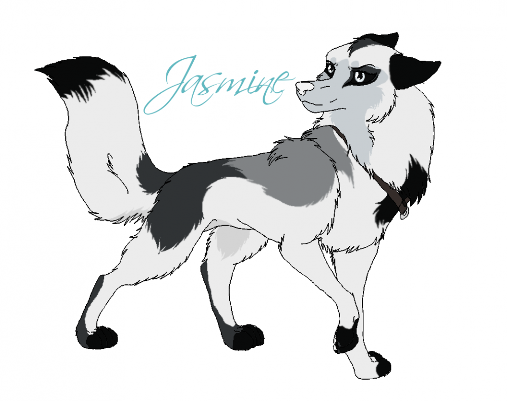 New Character; Jasmine