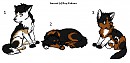 Ares X Angelia - Adoptables (My Part)