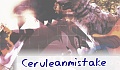 ceruleanmistake
