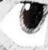 Tis Balto's eye. 