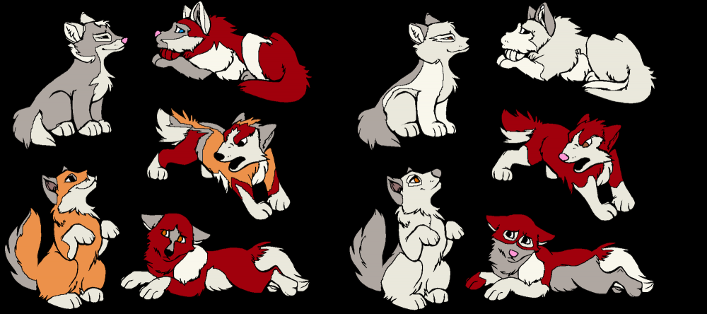 Many Puppies