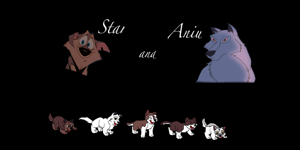 Star and Aniu